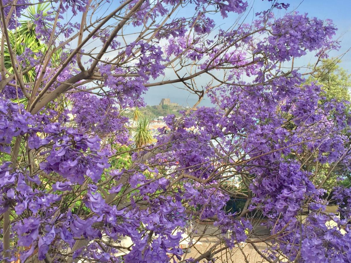 Grand Hotel De Rose Scalea Εξωτερικό φωτογραφία